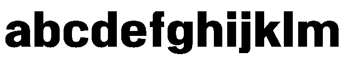 Normal Grotesk Black FONT