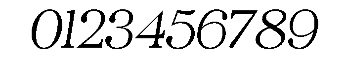 Nobleman Book Italic Font OTHER CHARS