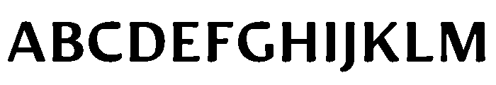 Novaletra Sans Bold Font UPPERCASE