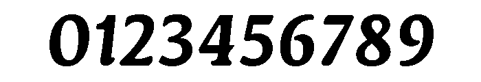 Novaletra Serif Bold Italic Font OTHER CHARS
