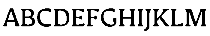 Novaletra Serif Medium Font UPPERCASE