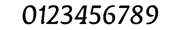 Novaletra Serif Regular Italic Font OTHER CHARS