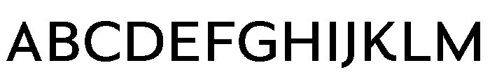 Novantique Sans Bold Font UPPERCASE