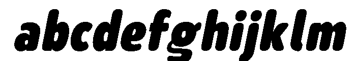 Nsai Pro Rounded Cn XBlk It FONT