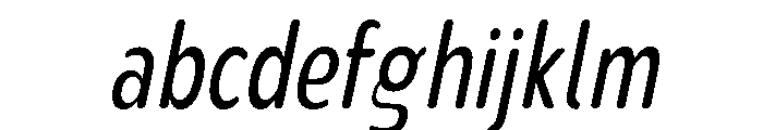Nsai Pro Rounded Comp Ita FONT