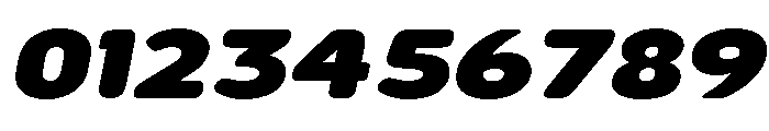 Nsai Pro Rounded Exp Black Ita Font OTHER CHARS