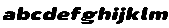 Nsai Pro Rounded Exp Black Ita FONT