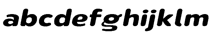 Nsai Pro Rounded Exp Bold Ita FONT