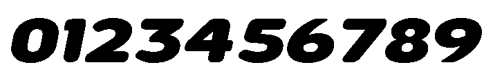 Nsai Pro Rounded Exp Heavy Ita Font OTHER CHARS