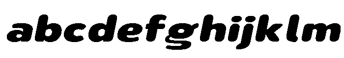 Nsai Pro Rounded Exp Heavy Ita FONT