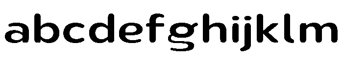 Nsai Pro Rounded Exp Med FONT