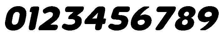 Nsai Pro Rounded ExtBd Ita Font OTHER CHARS