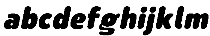 Nsai Pro Rounded Nr XBlk It FONT