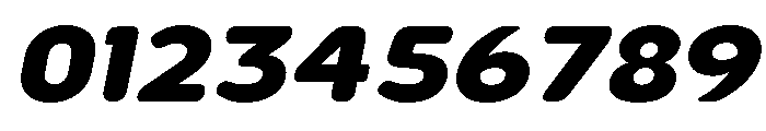 Nsai Pro Rounded Wide ExtBd Ita Font OTHER CHARS
