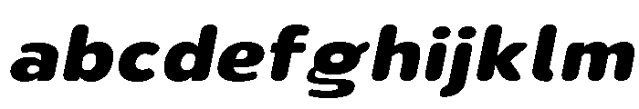 Nsai Pro Rounded Wide ExtBd Ita FONT
