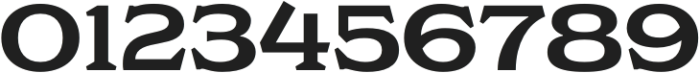 NS Philapost Serif Regular otf (400) Font OTHER CHARS