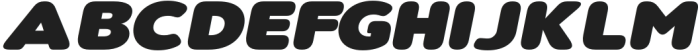 Nsai Pro Rounded Exp ExtraBlack Italic otf (900) Font