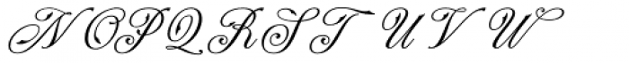 NS Champtone Script Font UPPERCASE