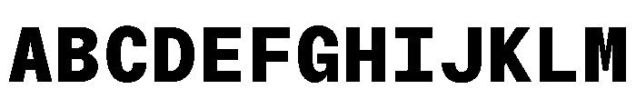 NTBauMono Black Font UPPERCASE