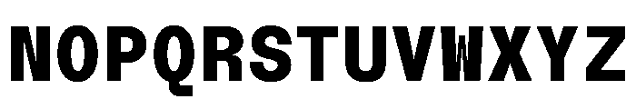 NTBauMono Black Font UPPERCASE