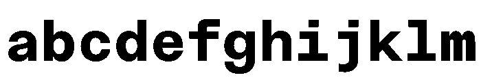 NTBauMono Black FONT