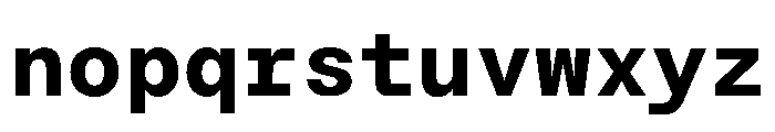NTBauMono Black Font LOWERCASE