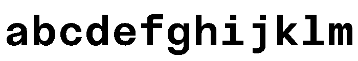 NTBauMono Bold FONT