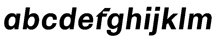 NTRappel BoldItalic FONT