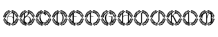 Nuvoria Monogram FONT