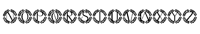 Nuvoria Monogram Font LOWERCASE