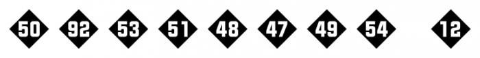 Numbers Style Two Diamond Negative Font OTHER CHARS