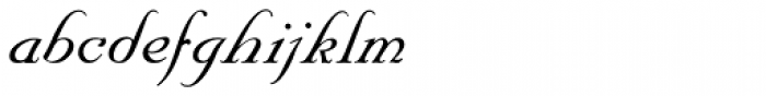 Nuptial Script Pro Medium Font LOWERCASE