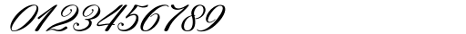 Nurhalifa Bold Script Italic Font OTHER CHARS