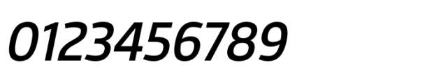 Nusara Medium Italic Font OTHER CHARS