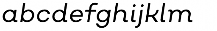 Nutmeg Headline Book Italic Font LOWERCASE