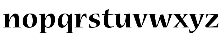 NuevaStd-Bold Font LOWERCASE