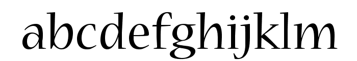 NuevaStd-Regular Font LOWERCASE