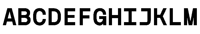 NudicaMono Bold Font UPPERCASE