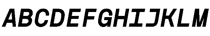 NudicaMono BoldItalic Font UPPERCASE