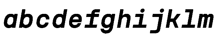 NudicaMono BoldItalic FONT