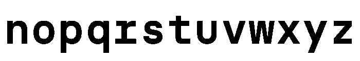 NudicaMono Bold Font LOWERCASE