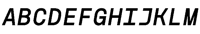 NudicaMono MediumItalic Font UPPERCASE