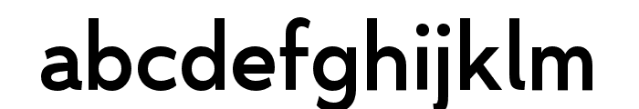 Nyata FTR Regular Font LOWERCASE