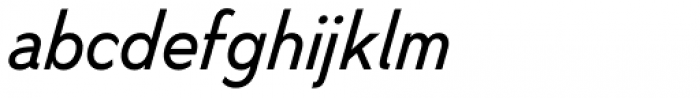 Nyata Book Italic Font LOWERCASE