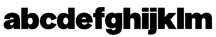 NYCSansv0.3 Black FONT