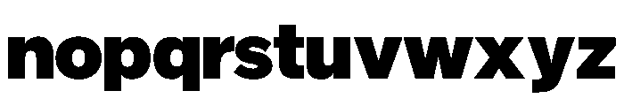 NYCSansv0.3 Black Font LOWERCASE