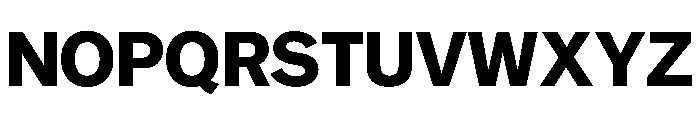 NYCSansv03 Bold Instance Font UPPERCASE