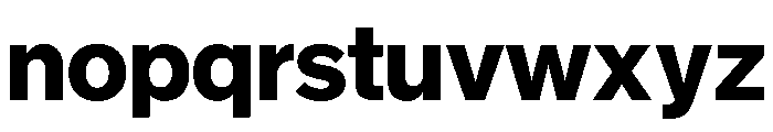 NYCSansv03 Bold Instance Font LOWERCASE