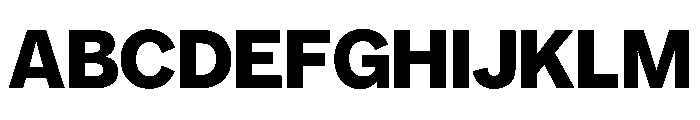 NYCSansv0.3 Bold Font UPPERCASE
