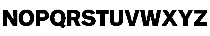 NYCSansv0.3 Bold Font UPPERCASE